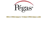 Pegas - Spiral - Laubsageblatter - Gro e  0  12St 